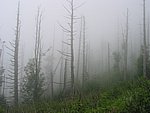 113-1370_IMG.JPG