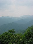 113-1386_IMG.JPG