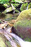 CP_0503.JPG