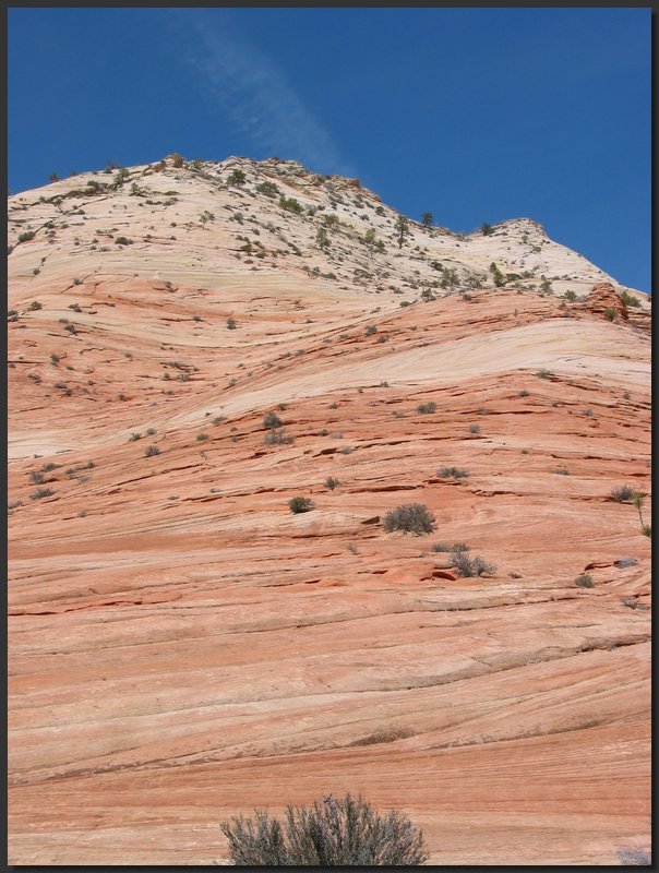 zion-rock2.JPG