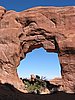 arches-pine.JPG
