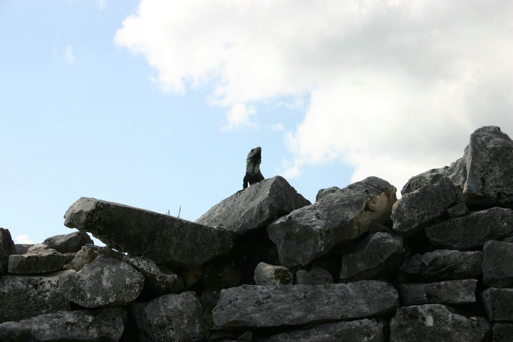 19 Tulum ruin.jpg