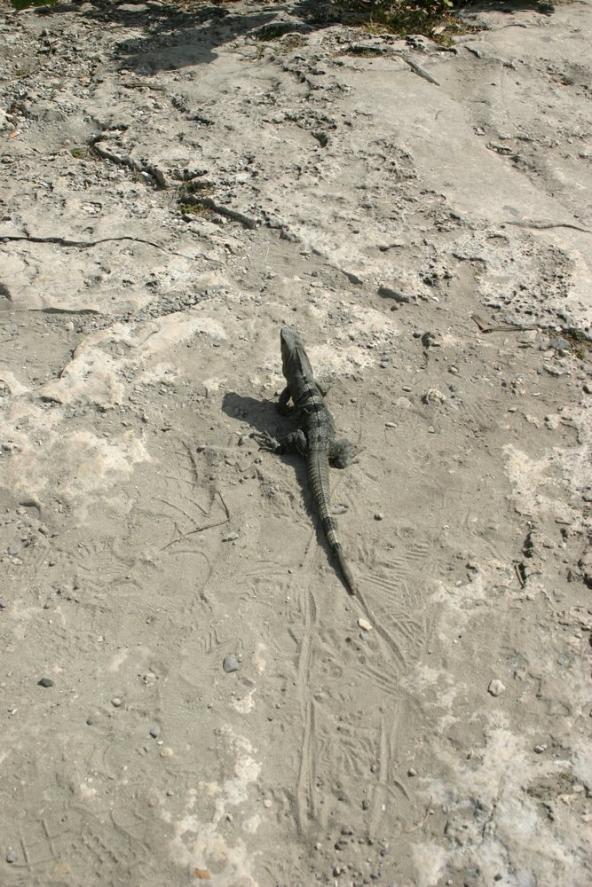 21 Tulum ruin.jpg