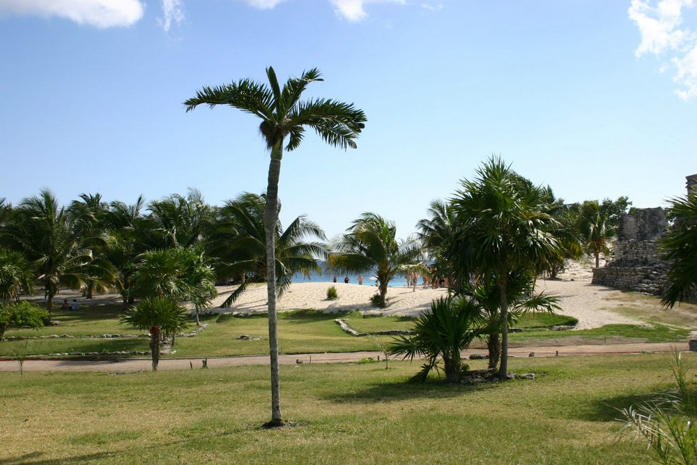 24 Tulum ruin.jpg