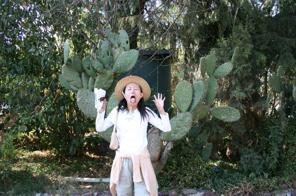 56 cactus.jpg