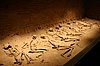 46 National Museum of Anthropology.jpg