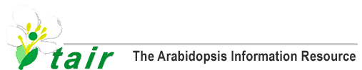 Arabidopala Information Resource