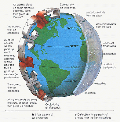 What are the eight biomes found on Earth?