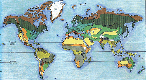 The distribution of different biomes on the Earth.