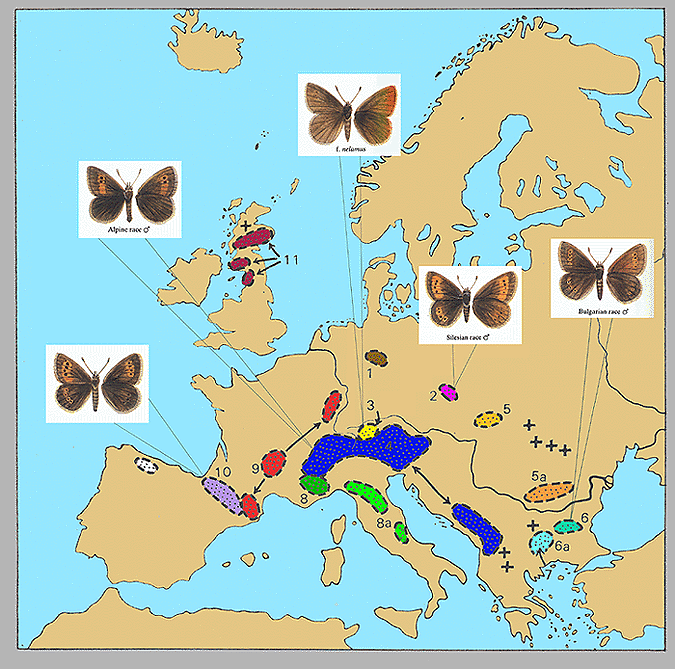 Map+of+european+mountains