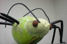 pea aphid pinata
