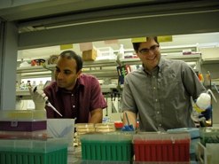 Rahul Raghavan and Daniel Phillips