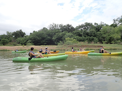 Lab rush hour on Bastrop River