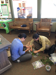 Becky C. and Serena Z.