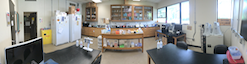 BLF lab panaroma