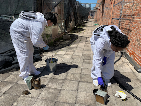 Photo of Alejandro and Hailey lighting bee smokers