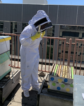 Photo of Hailey A. inspecting a bee hive