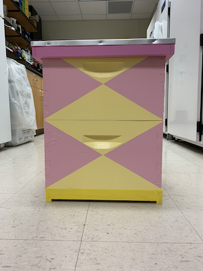 Photo of a new pink and yellow painted bee hive
