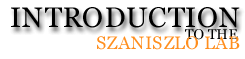 Introduction to the Szaniszlo Lab
