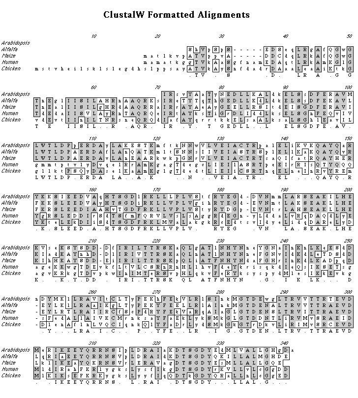 Clustall alignment made on MacVector.